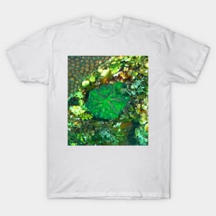 Green Artichoke Coral Anemone T-Shirt